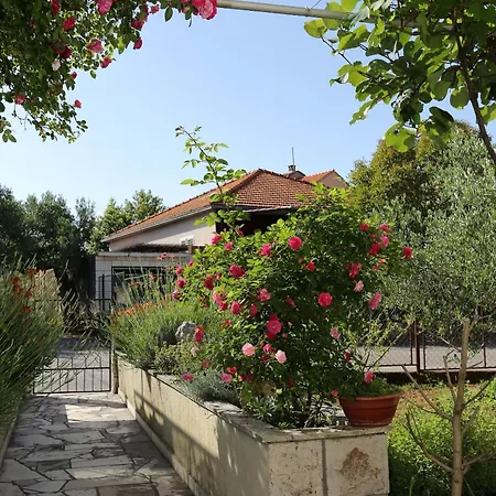 By The Sea - 10042 *