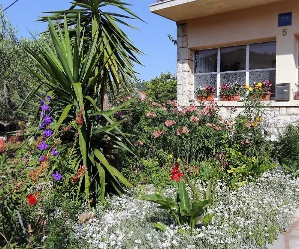By The Sea - 10042 * Korčula