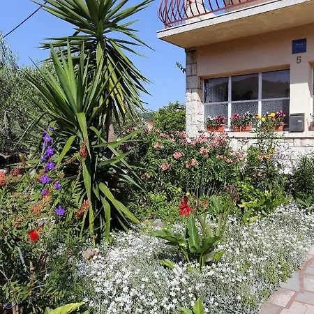 By The Sea - 10042 * 科尔丘拉