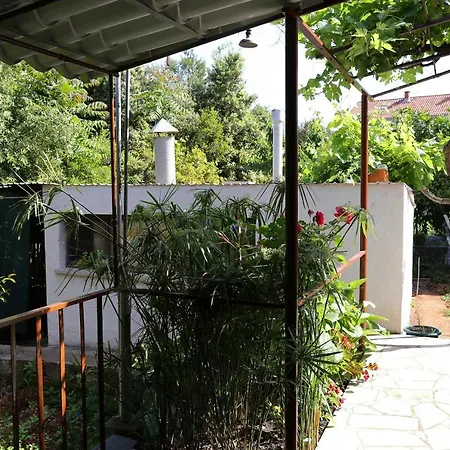 By The Sea - 10042 * 科尔丘拉