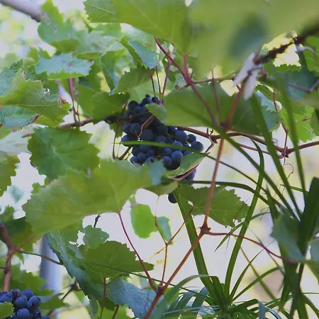 公寓 By The Sea - 10042 *