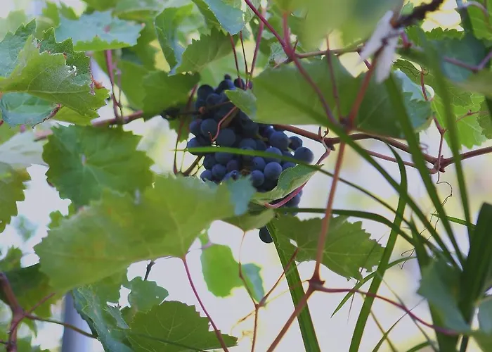 아파트 By The Sea - 10042 *